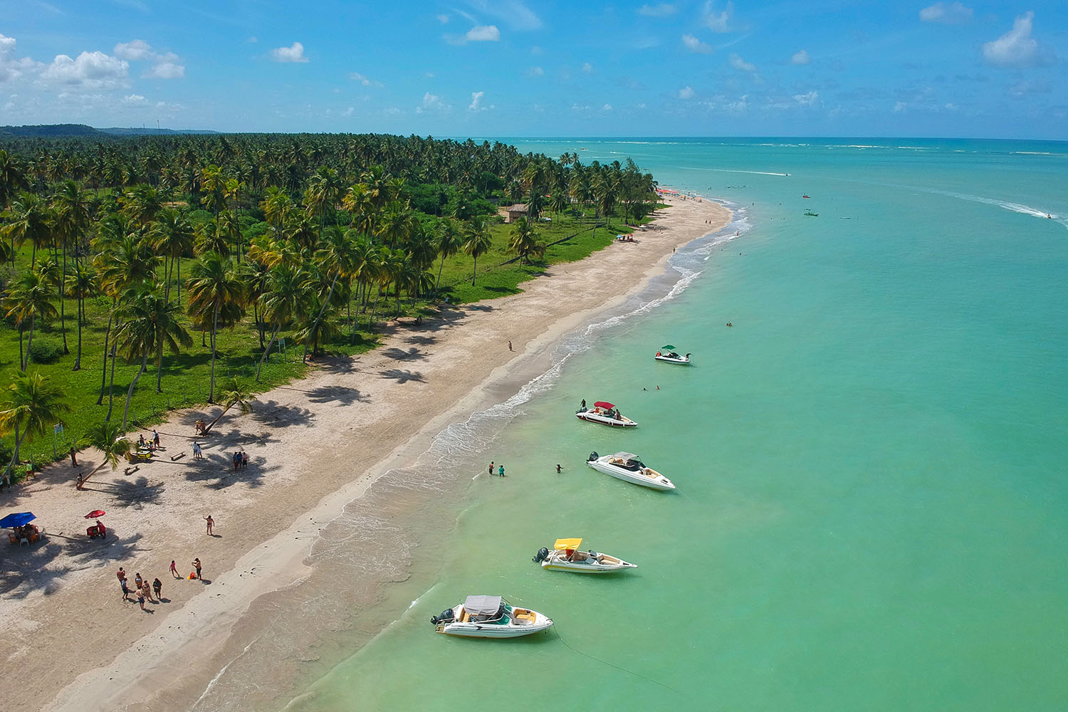 <mark>PASSEIOS E TRANSLADOS</mark>